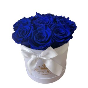 Rosboxen Desire