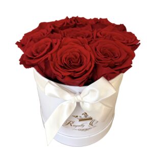 Rosboxen Fall in Love