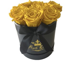 Rosboxen Grateful