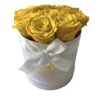 Rosboxen Sunshine
