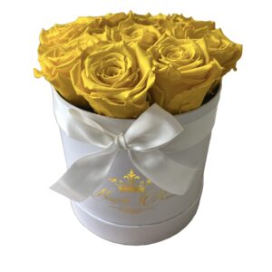Rosboxen Sunshine